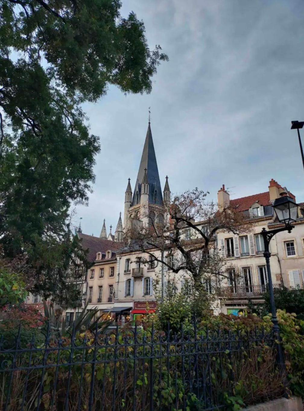 Le Charme Dubois Leilighet Dijon Eksteriør bilde